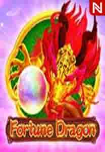 Fortune Dragon