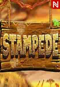 Stampede